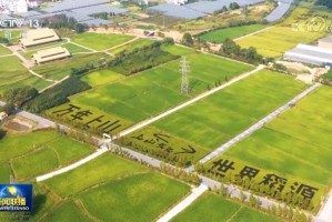 杏彩体育官网- 尼姆古城遗址旁建新球场，文化遗产保护获双赢