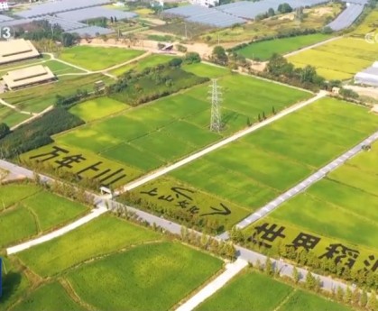 杏彩体育官网- 尼姆古城遗址旁建新球场，文化遗产保护获双赢