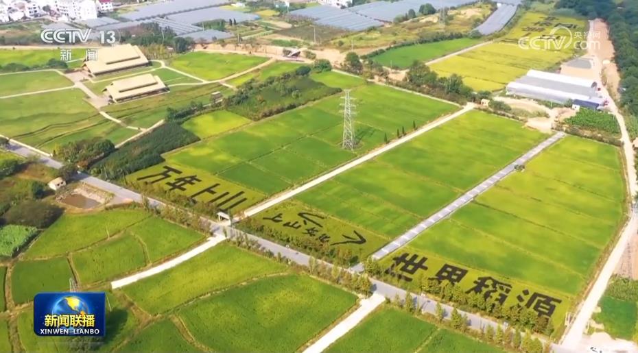  尼姆古城遗址旁建新球场，文化遗产保护获双赢